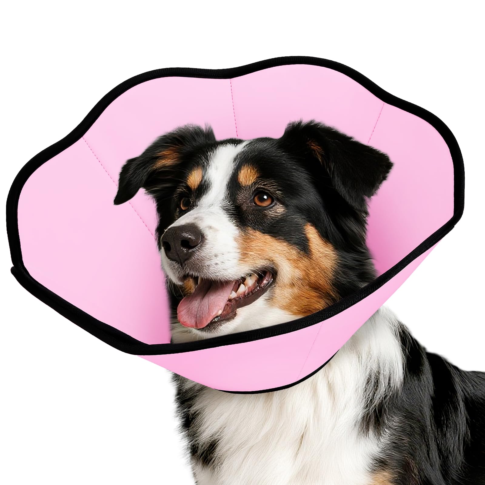 MIDOG cono quirúrgico suave para perros protege heridas sin irritación