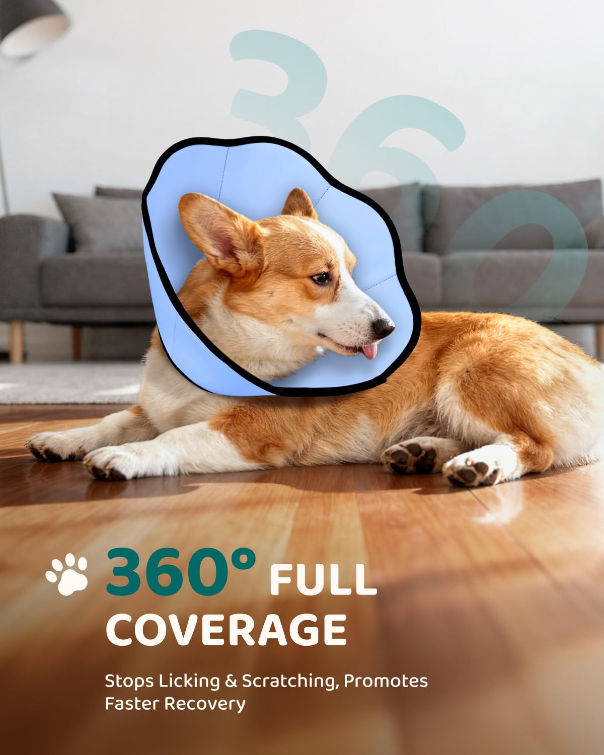MIDOG Cono suave, vista frontal, evita que el perro alcance la herida durante la recuperación.