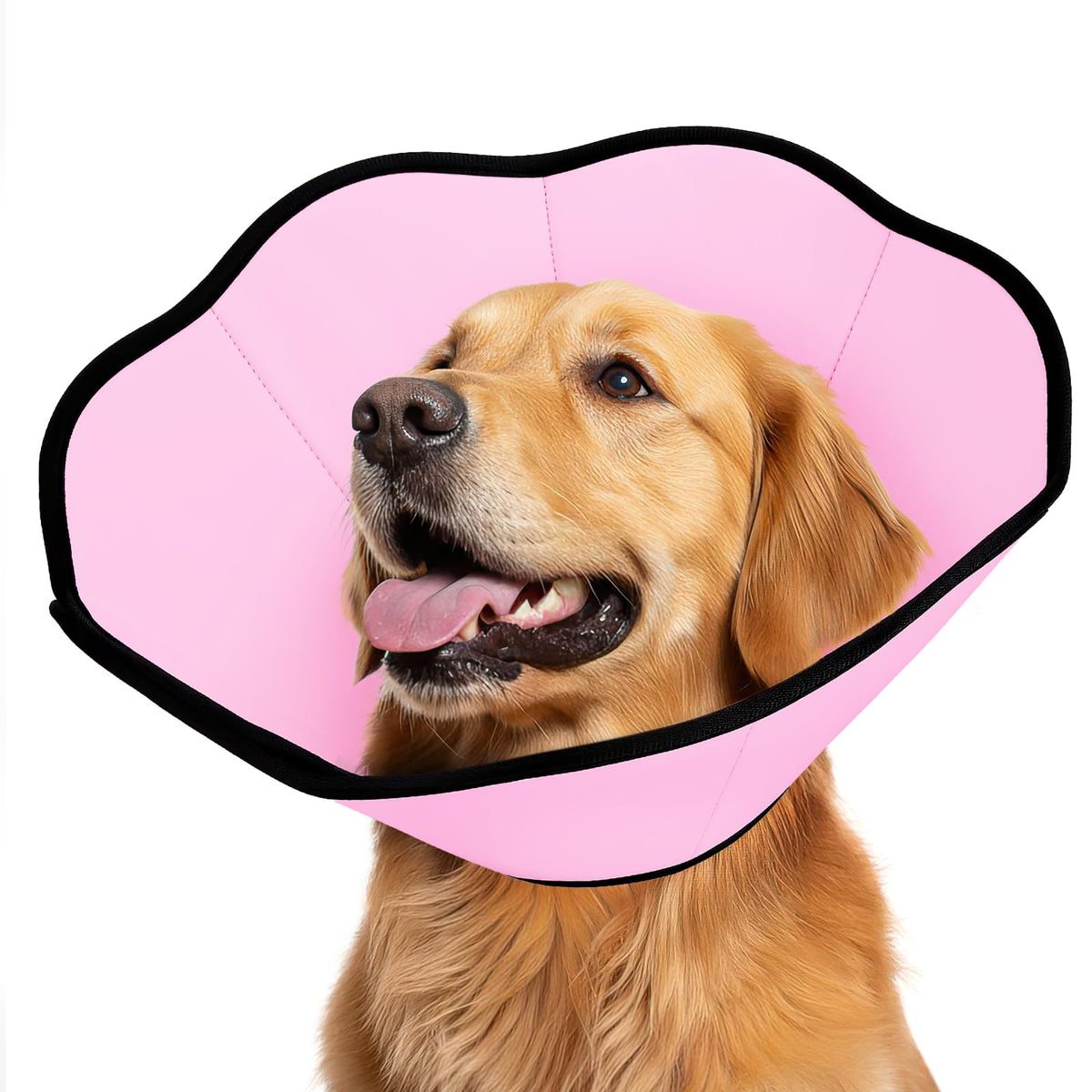 Cono suave MIDOG para perros protege heridas tras cirugía, permitiendo movimiento cómodo