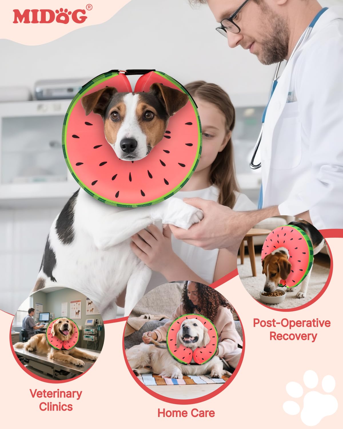 MIDOG correa ajustable cuello sandia: ajuste seguro para un uso estable.