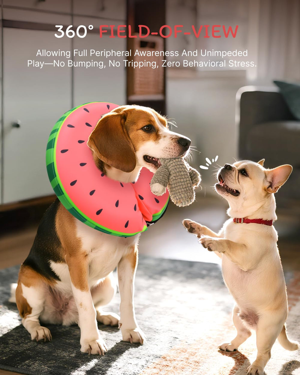 MIDOG diseño que mantiene visión sandia: permite observar el entorno con seguridad.