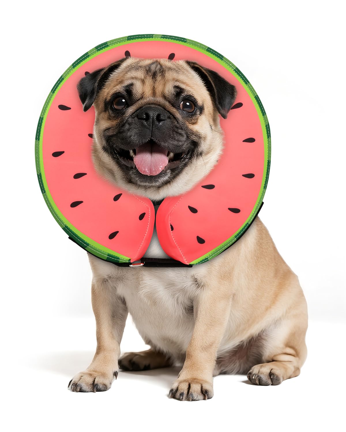 MIDOG cono melena de león sandia: protección suave sin bloquear la visión.