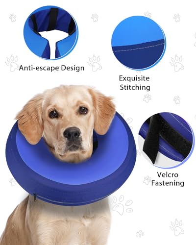 MIDOG visión despejada, el perro puede moverse y comer sin obstáculos.