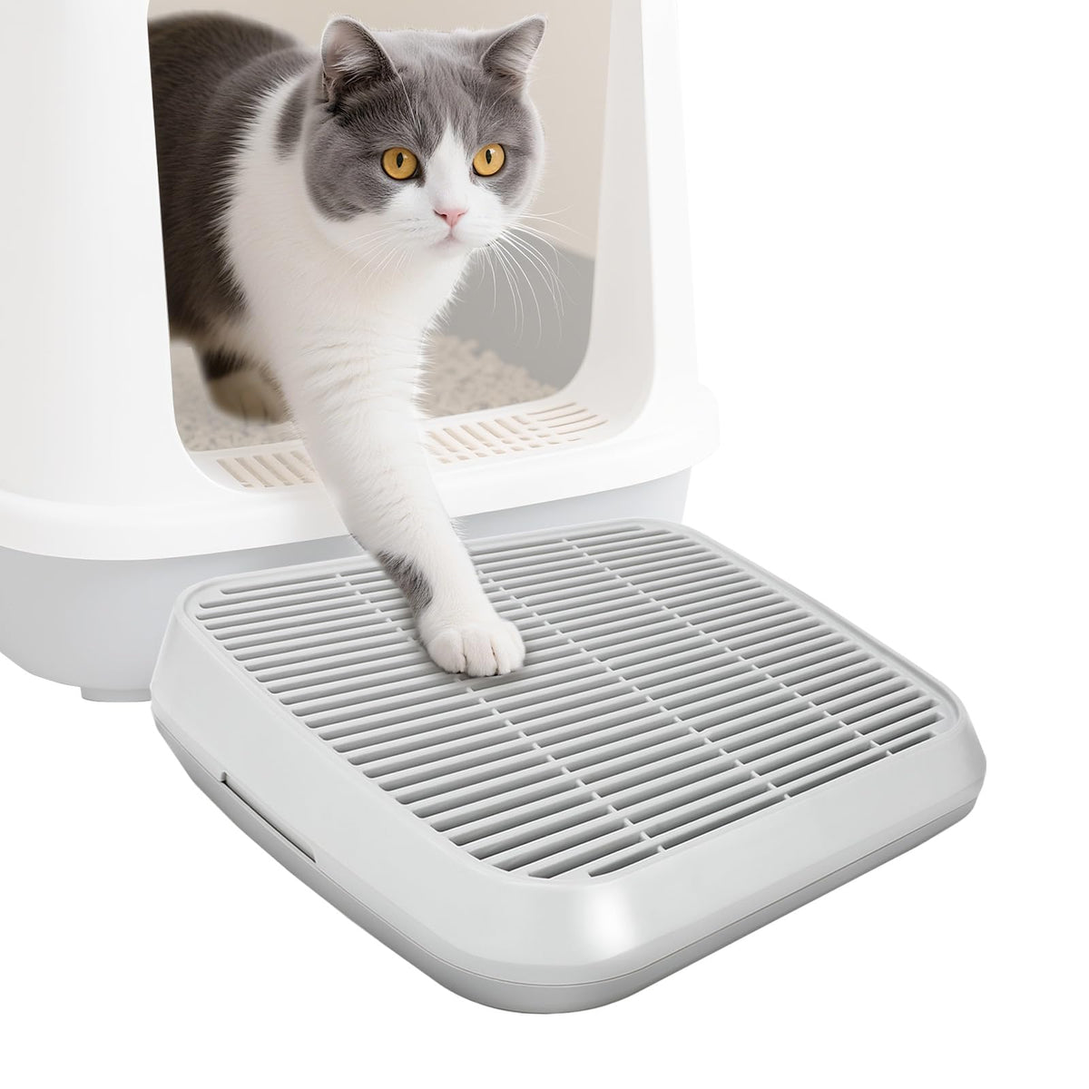 Midollarle rampa para gato arenero entrada, facilita subida y salida con diseño ergonómico.