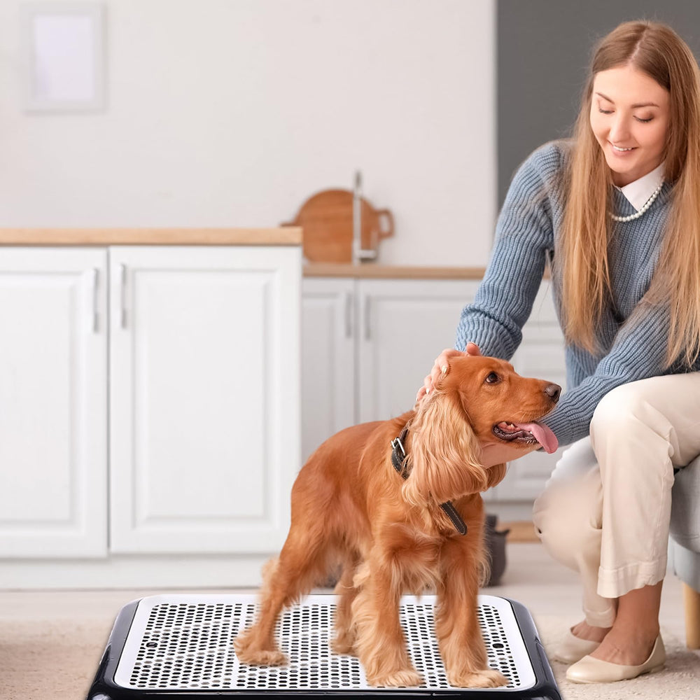 Uso interior y exterior con Mifoci, versatilidad diaria para mascotas.