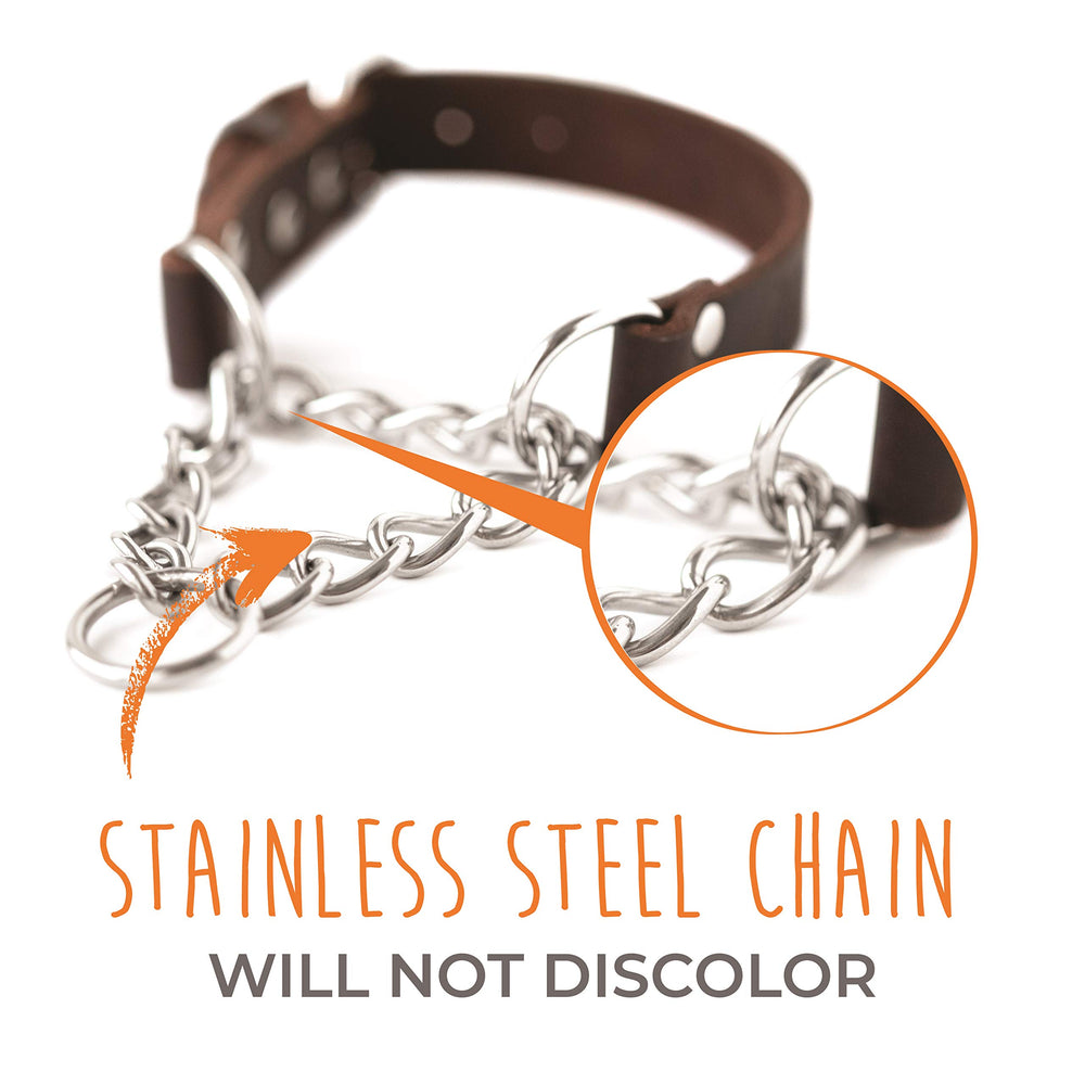 Cadena de acero inoxidable resistente del collar Mighty Paw