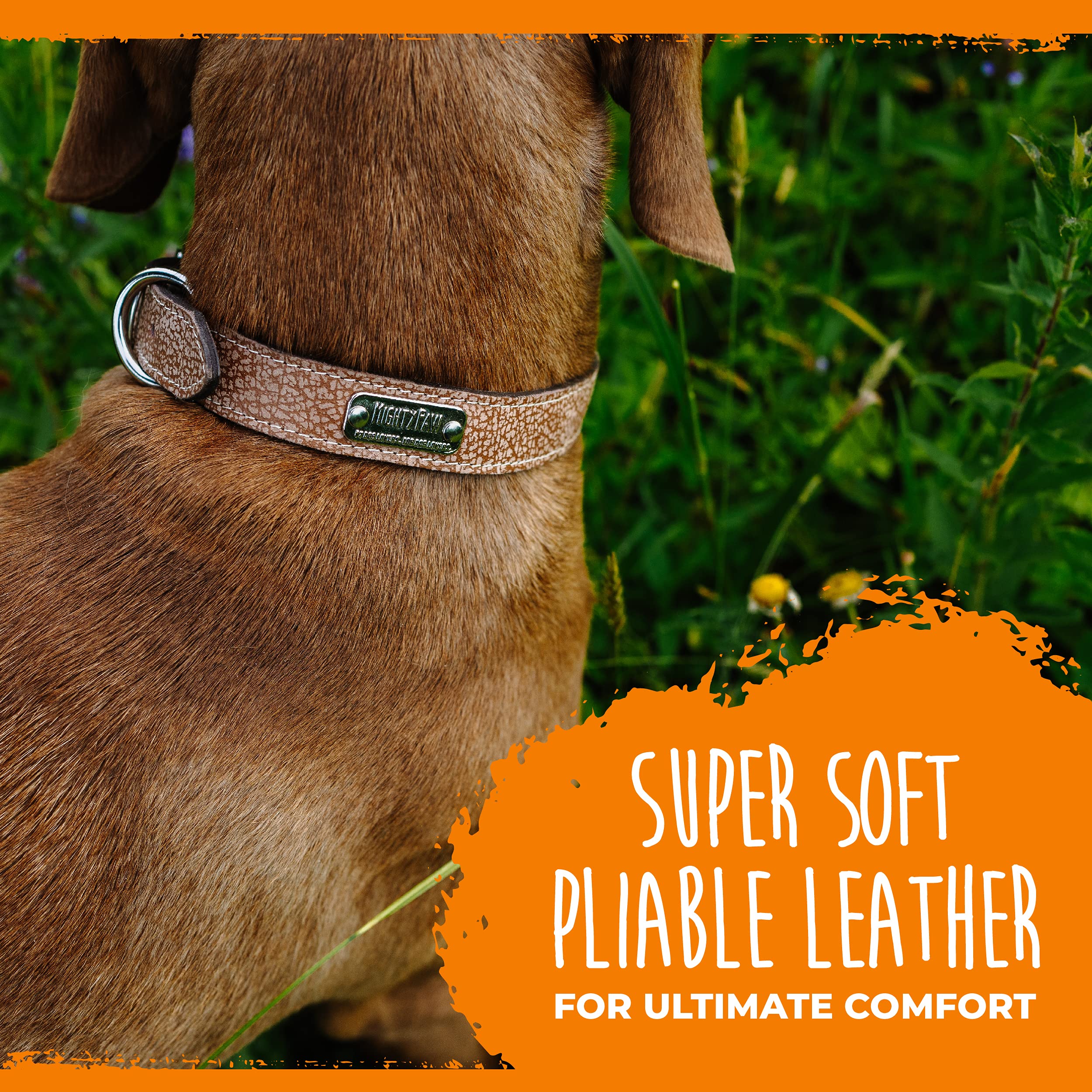 Collar Mighty Paw con 5 ajustes para crecimiento cómodo