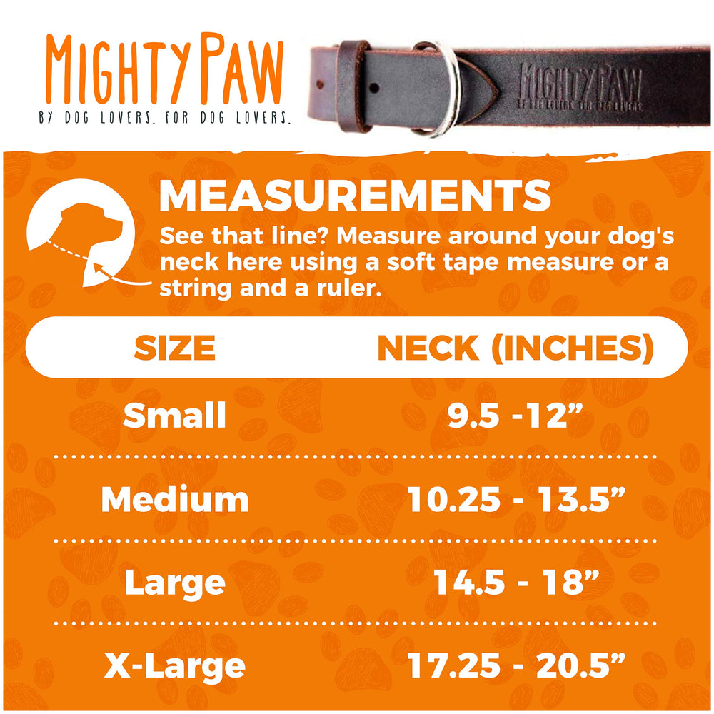 Collar Mighty Paw con hebilla de metal resistente para uso diario.