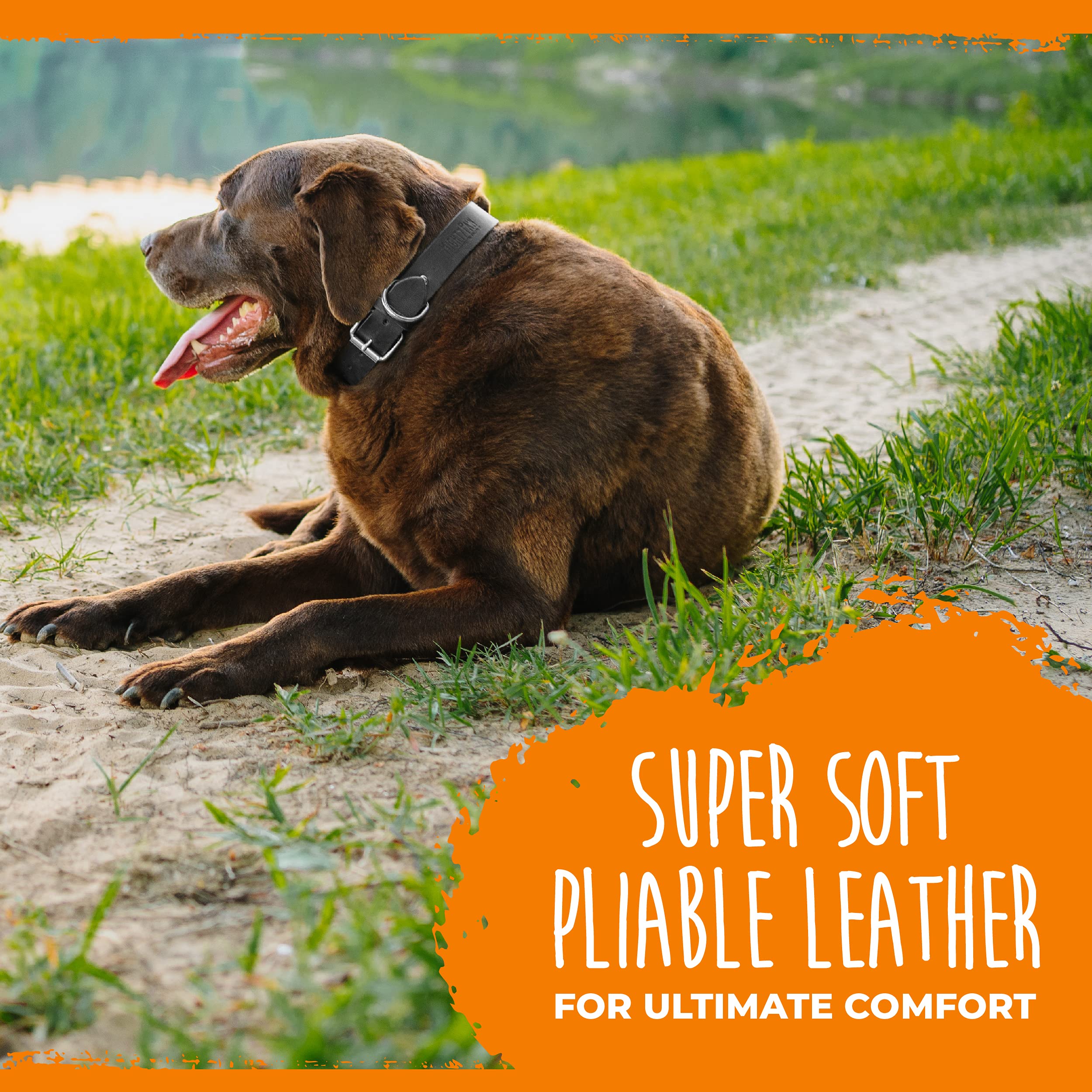 Logo grabado en relieve en collar Mighty Paw para estilo distintivo.
