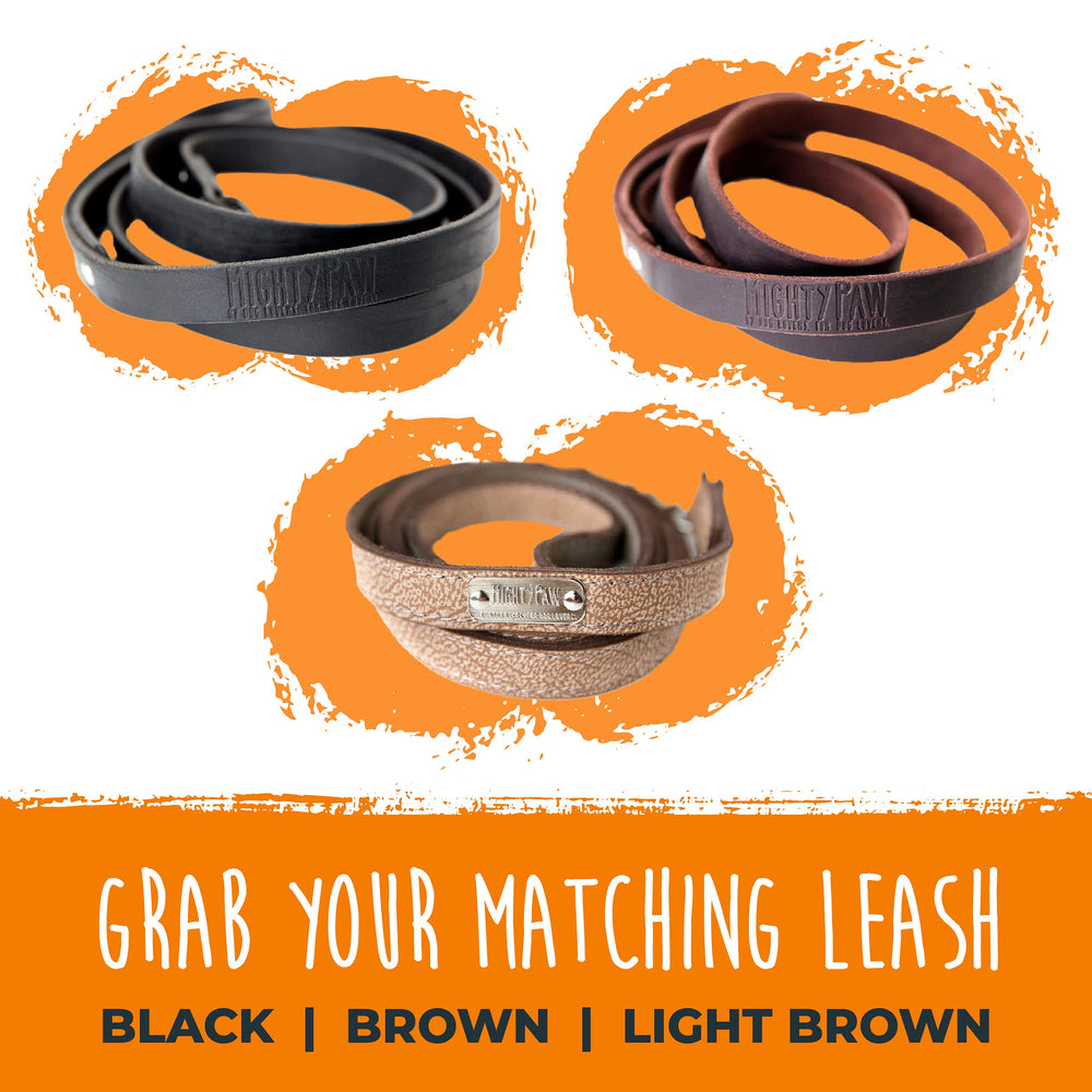 Collar Mighty Paw logotipo grabado como detalle distintivo