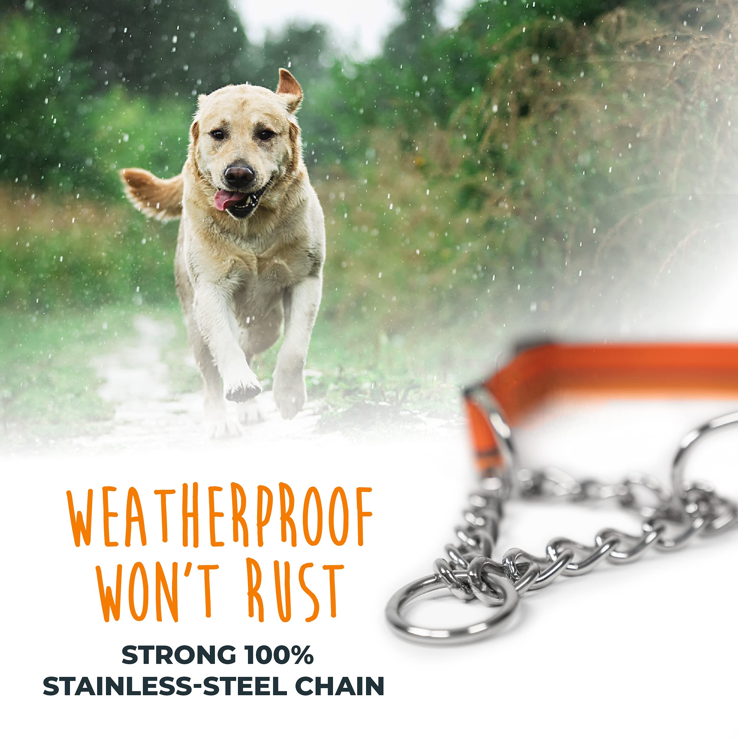 Mighty Paw collar martingale: ajuste modificado para un control suave durante el entrenamiento.
