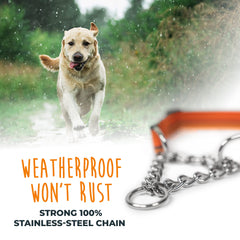 Mighty Paw collar martingale: ajuste modificado para un control suave durante el entrenamiento.