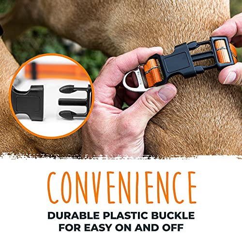Mighty Paw collar martingale: diseño diseñado en EE. UU. para confiabilidad.