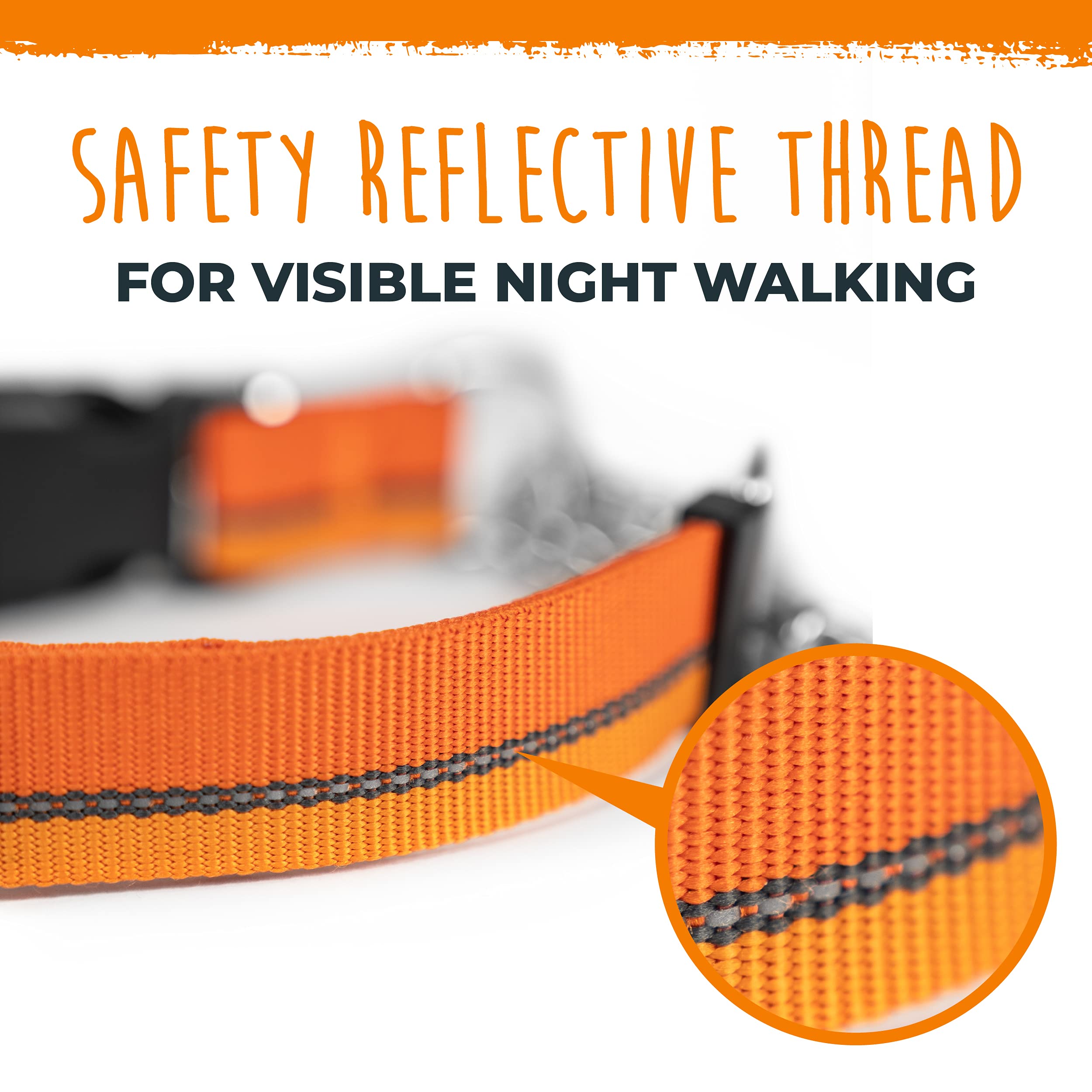 Mighty Paw collar martingale: opciones versátiles para entrenamiento y caminatas diarias.