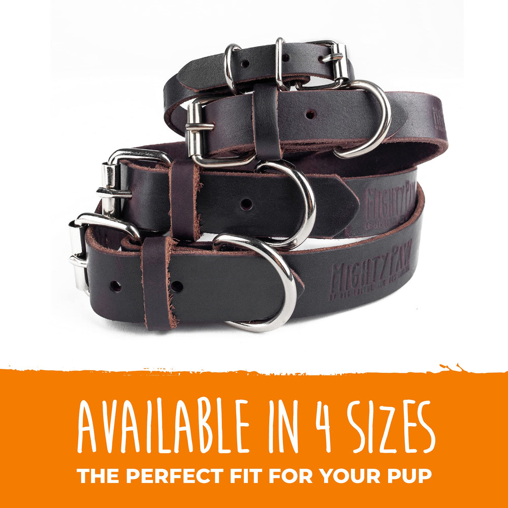 Collar Mighty Paw apto para todas las razas y estilos.
