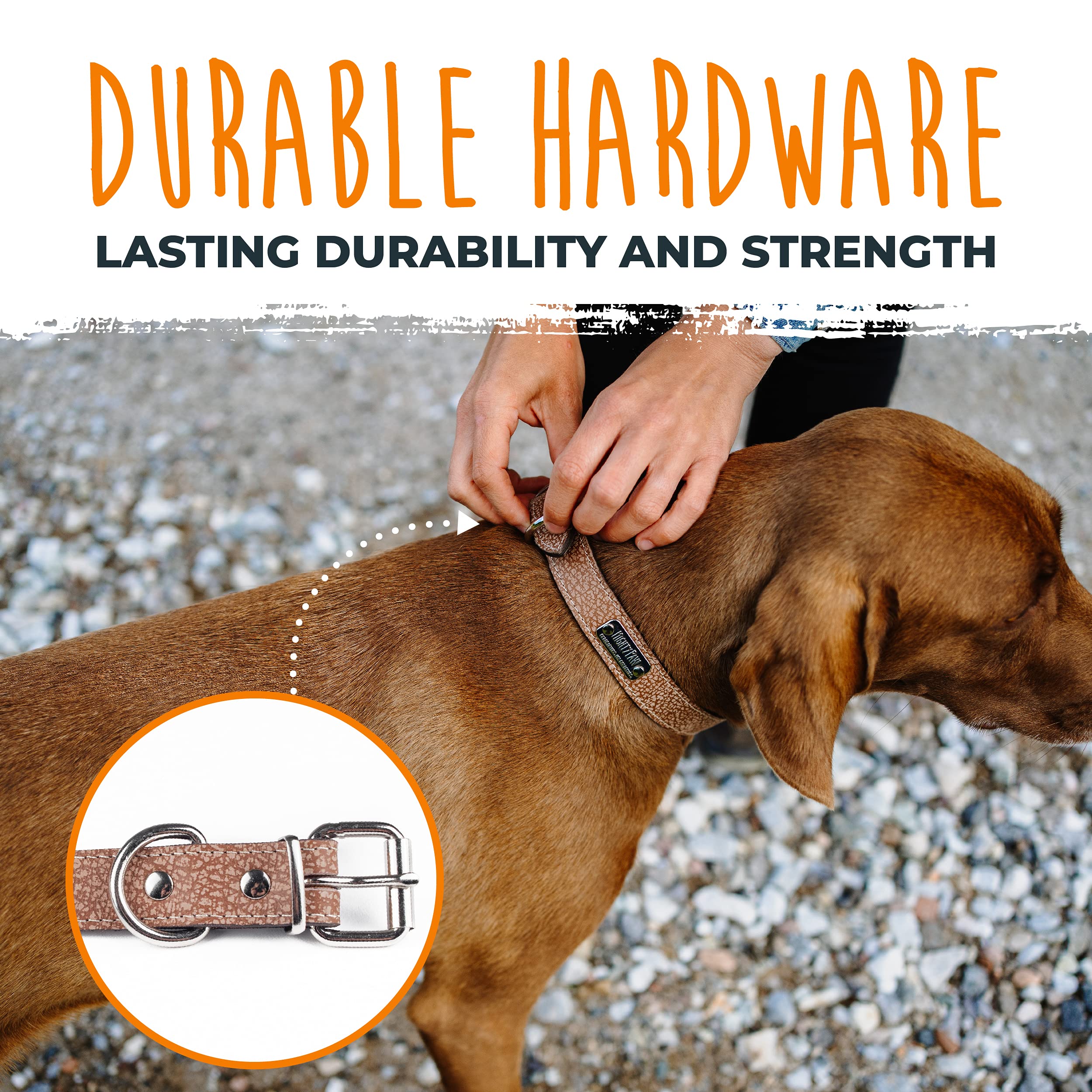 Collar Mighty Paw color miel claro, estilo moderno para todas las razas