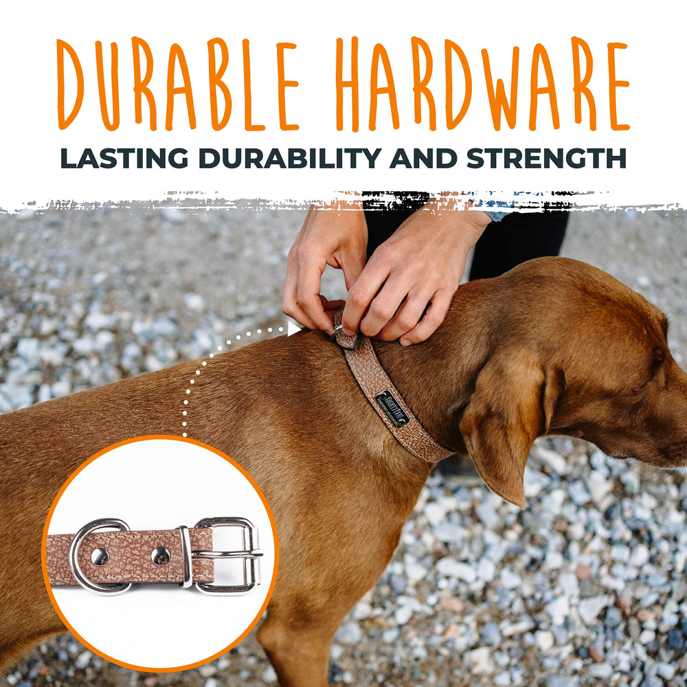 Collar Mighty Paw color miel claro, estilo moderno para todas las razas