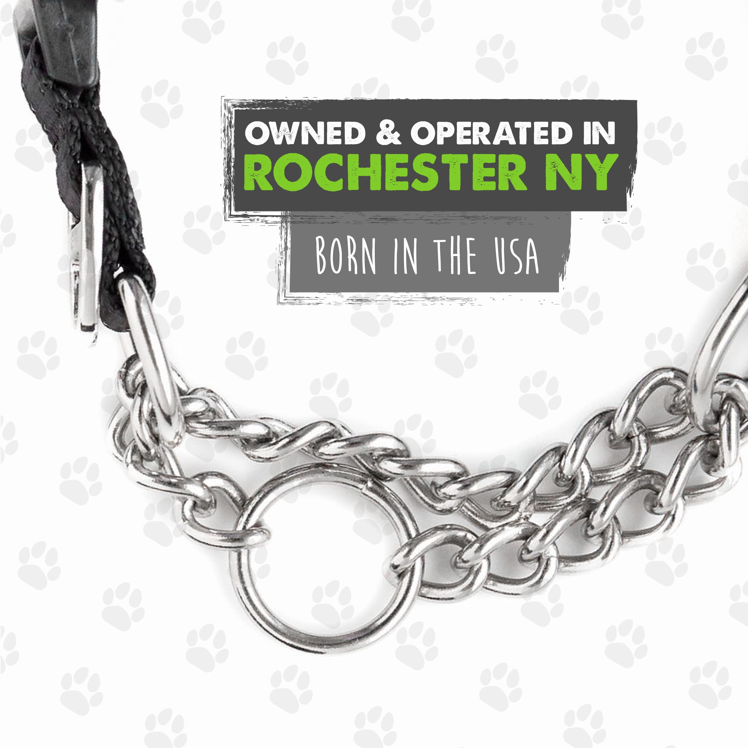 Collar diseñado en EE. UU. por Mighty Paw para aventuras.
