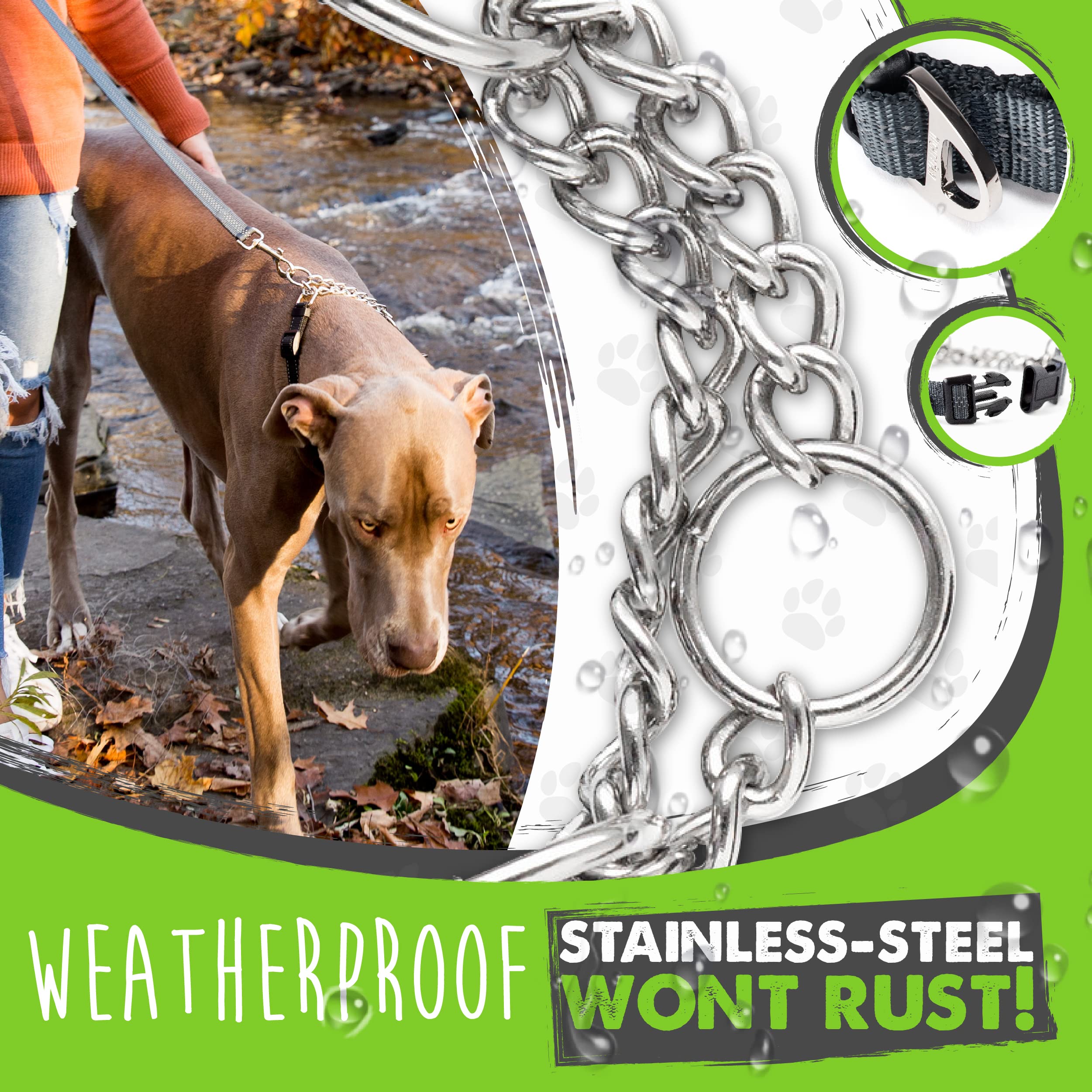 Collar gris mediano Mighty Paw, adecuado para sesiones de entrenamiento.