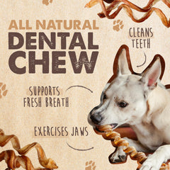 Mighty Paw Naturals Curly Bully Sticks para perros grandes, masticación duradera