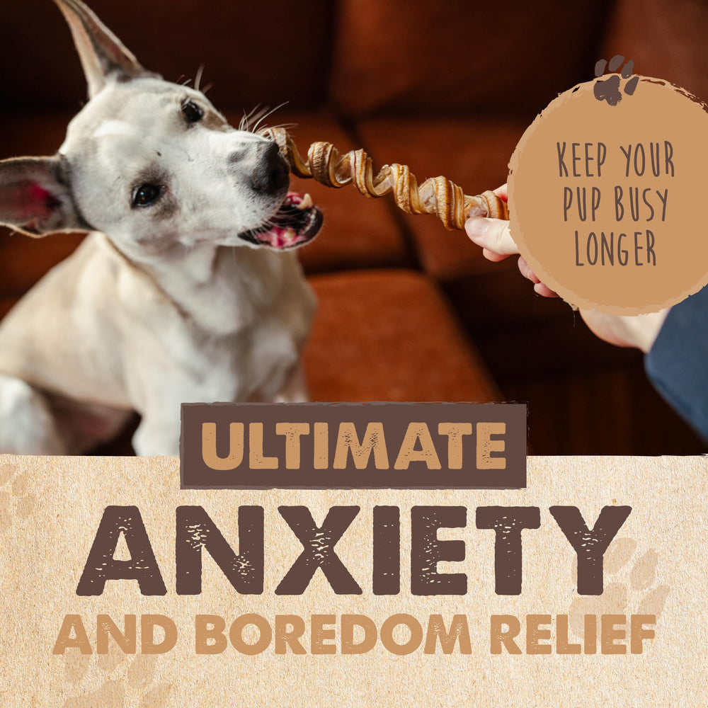 Mighty Paw Naturals Curly Bully Sticks para perros medianos