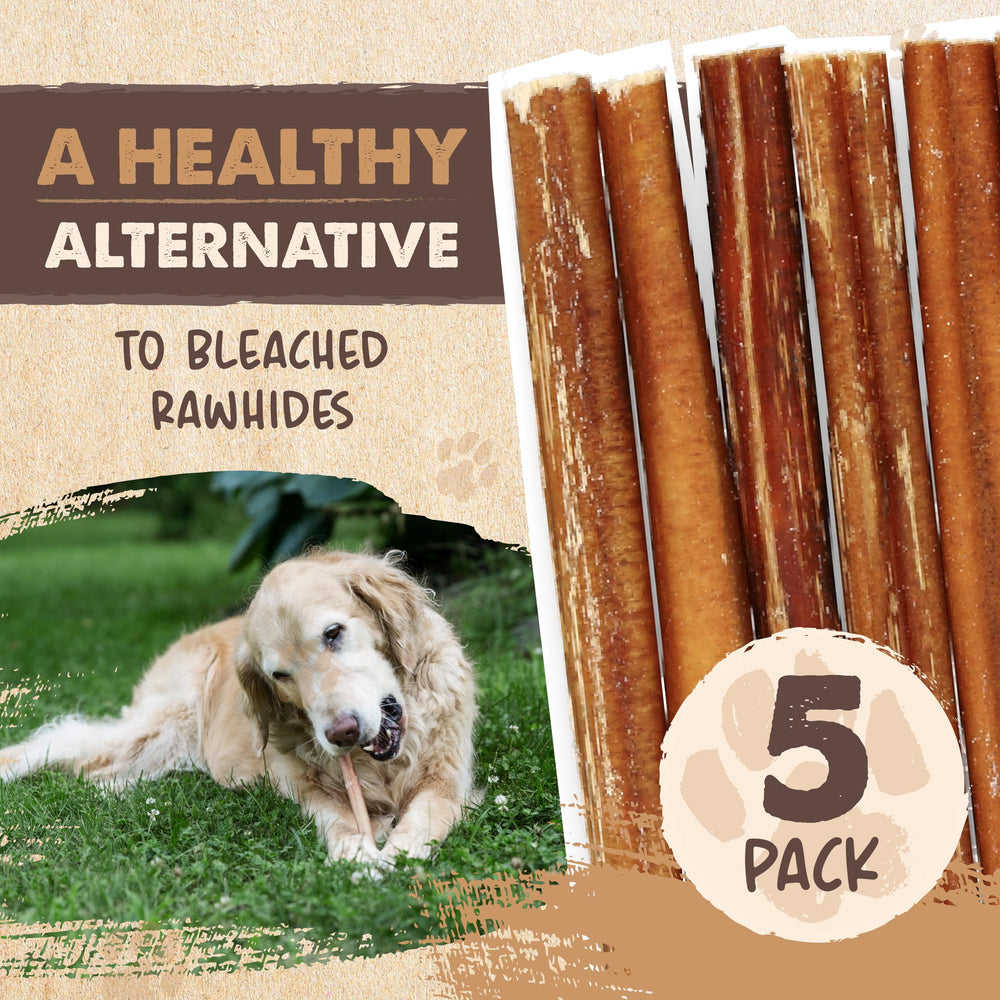Perro ocupado masticando Mighty Paw Naturals para actividad diaria