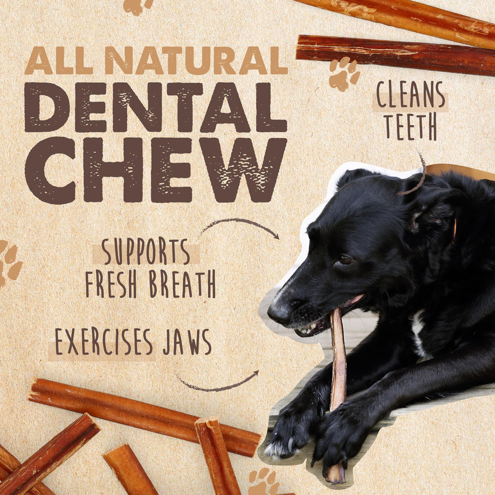 Mighty Paw Naturals, palitos bully de res criados en pasto para calidad.