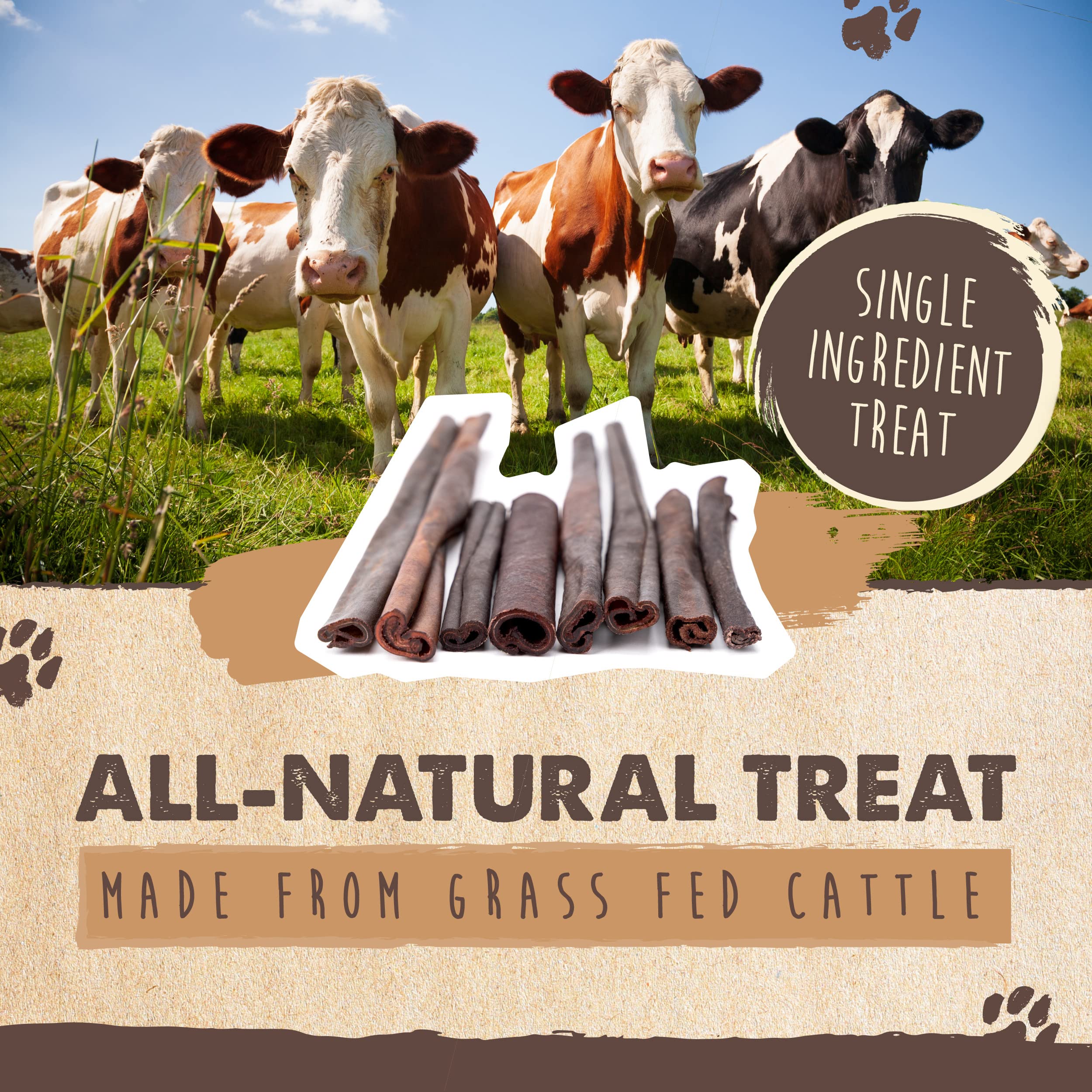 Sin sabores artificiales en Mighty Paw, opción natural de masticación para perros.