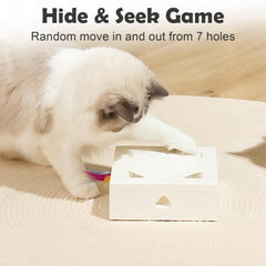 Caja carton-juego Migipaws: reutiliza embalaje para horas de juego.