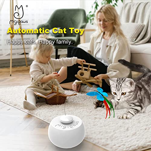 Migipaws Juego Autónomo: interacción sin intervención constante para gatitos curiosos