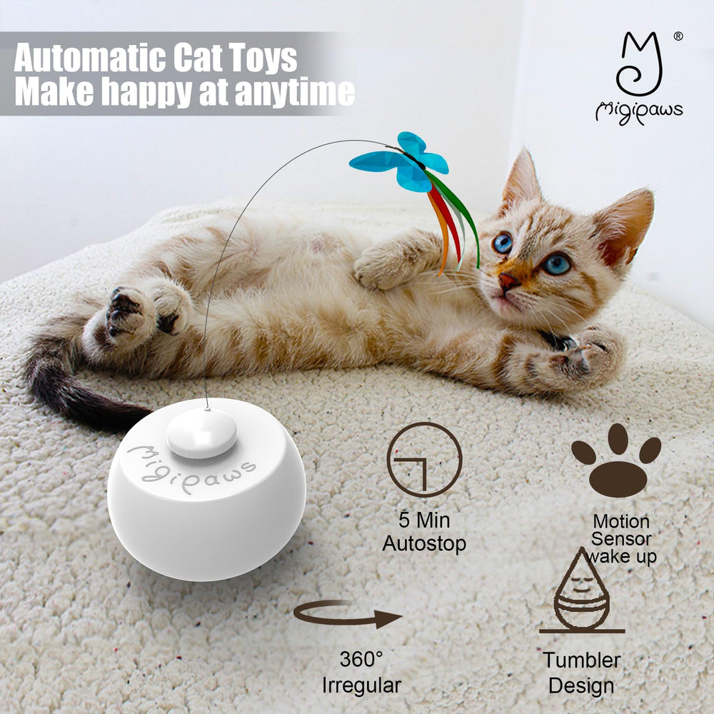 Migipaws Juego Interactivo: experiencia versátil para gatitos curiosos