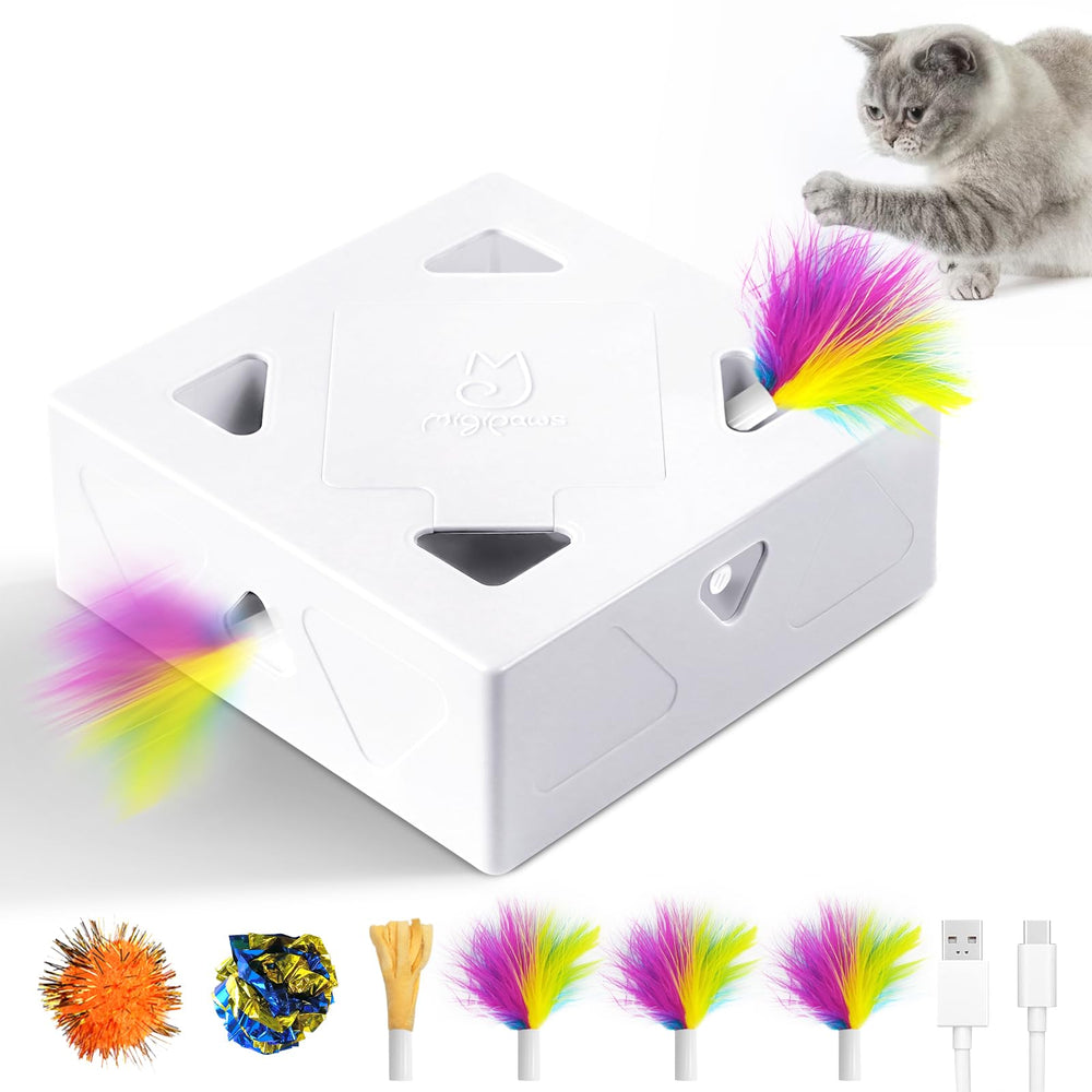 Migibox Migipaws: interacción 3-en-1 para gatos curiosos y activos.