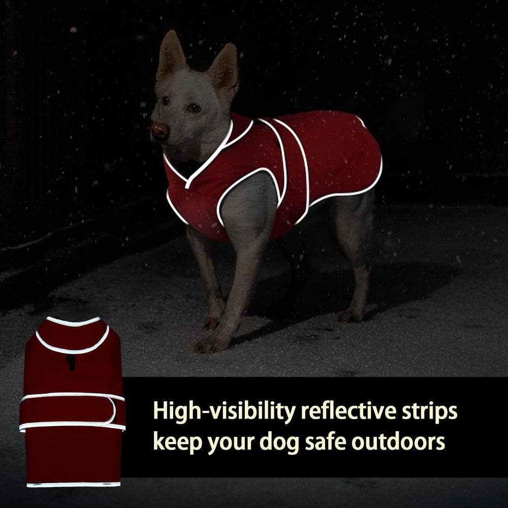 Tirantes elásticos para patas evitan desplazamientos durante caminatas.