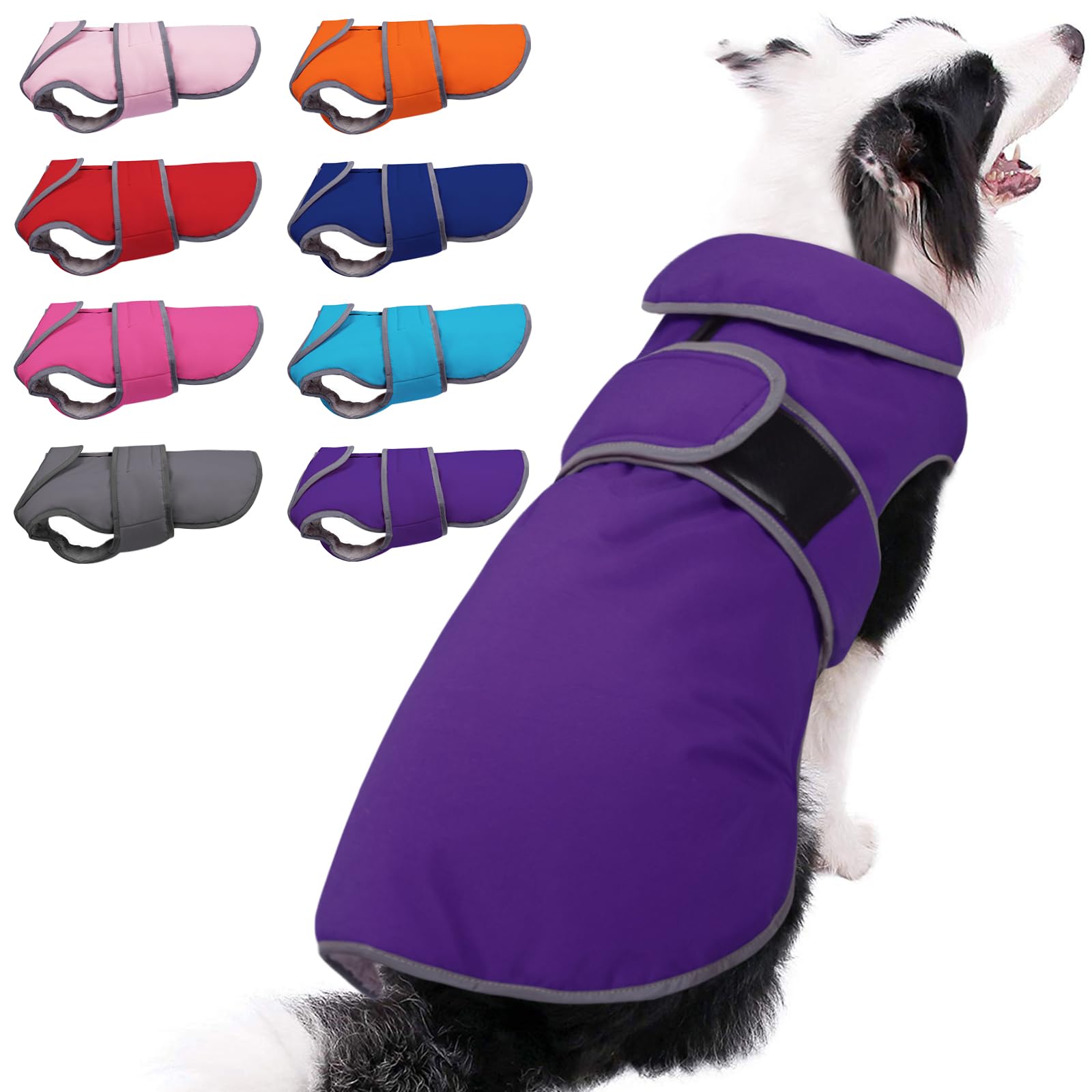 MIGOHI abrigo para perro, invierno impermeable, mantiene al animal seco durante la caminata.