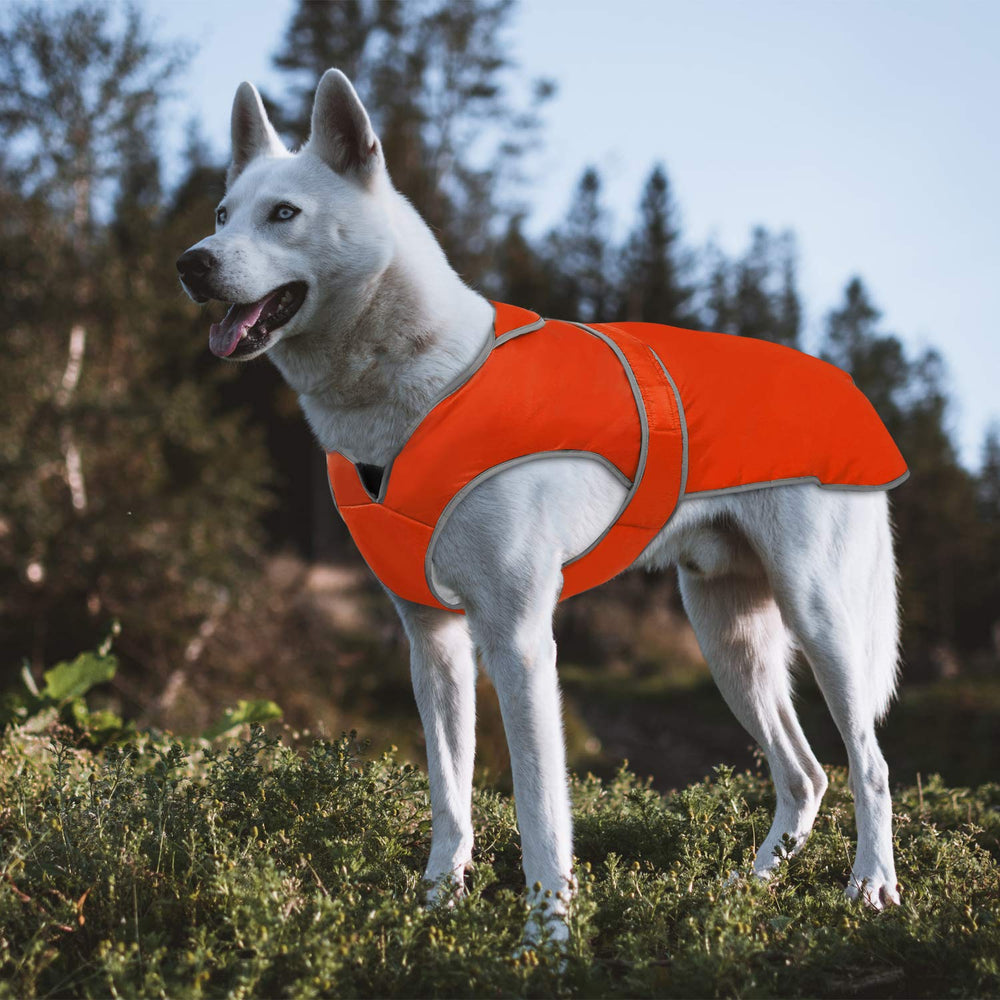 MIGOHI abrigo lavable, fácil de limpiar para después de cada paseo