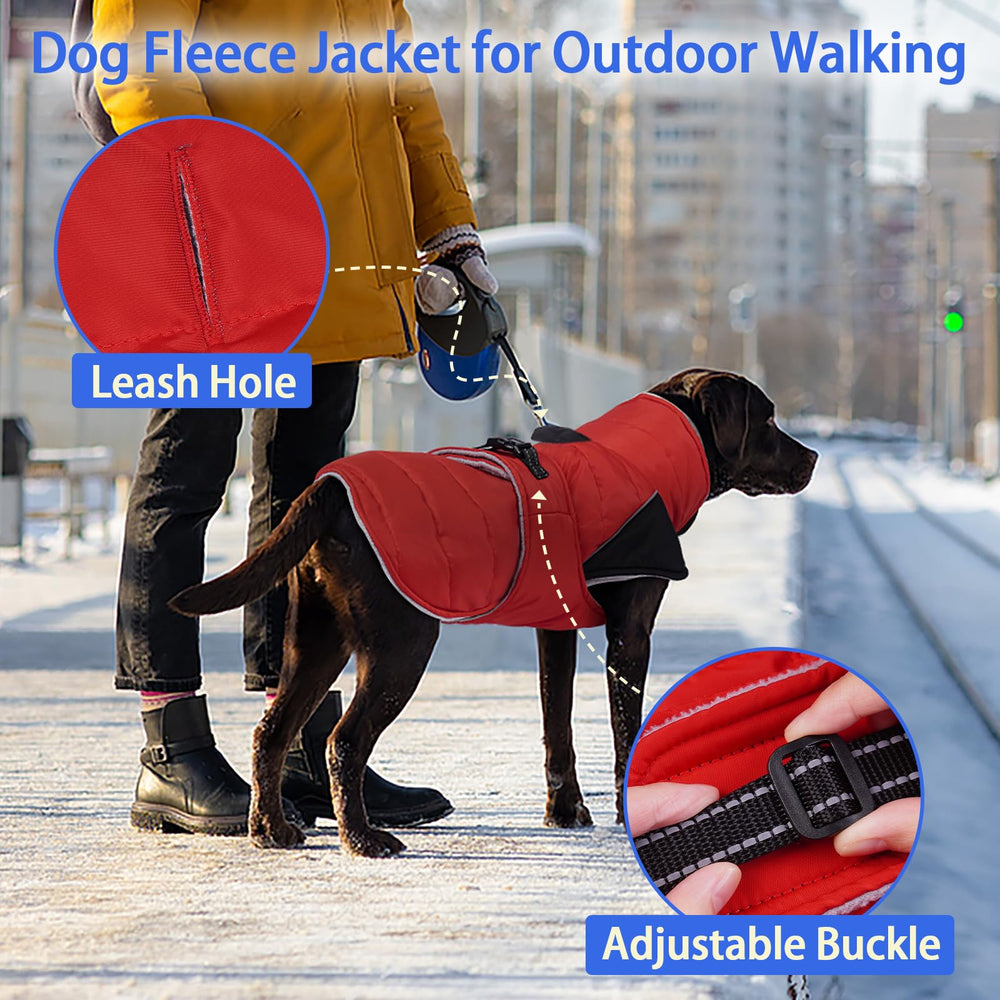 Talla 2XL de la capa MIGOHI para perros grandes y activos.