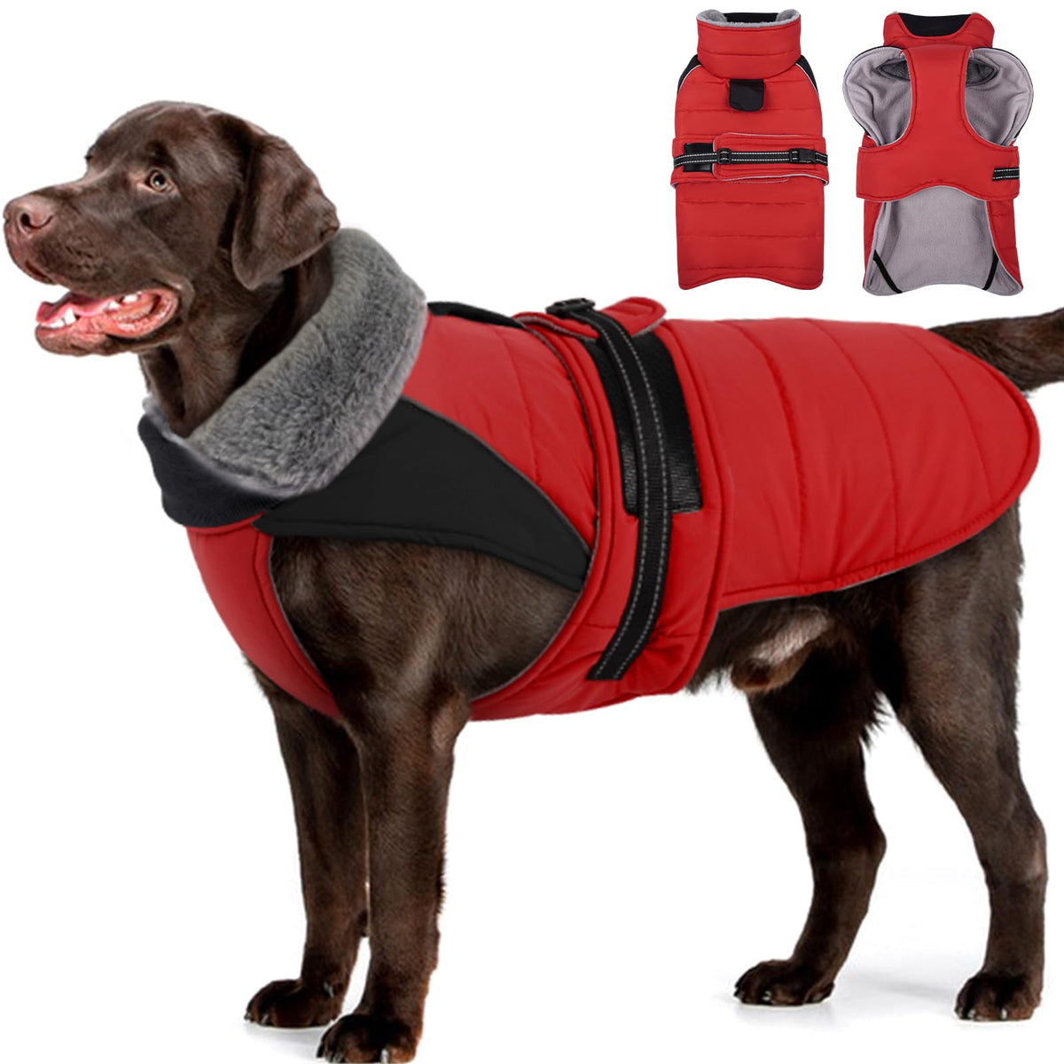 Capa MIGOHI para perro grande impermeable y reflectante para mayor visibilidad.