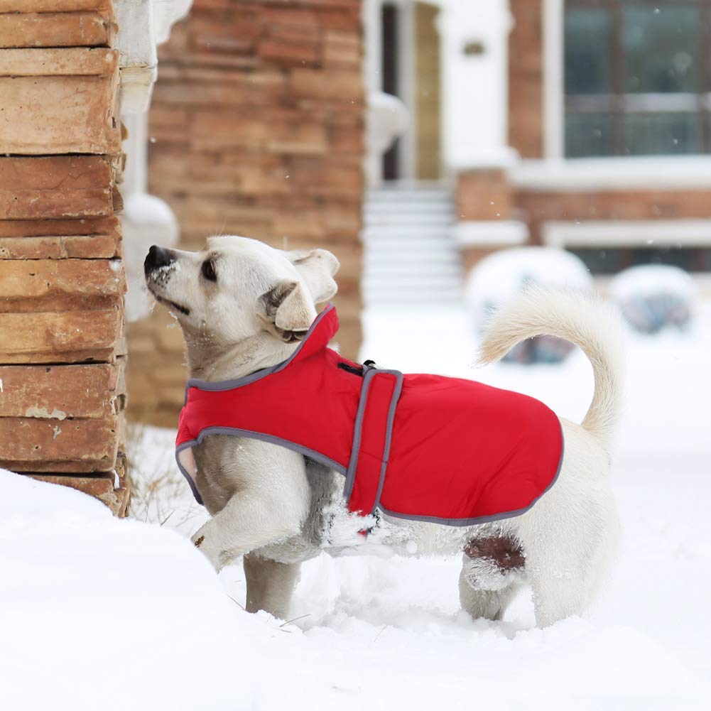 MIGOHI lavado a máquina simplifica el mantenimiento del abrigo.