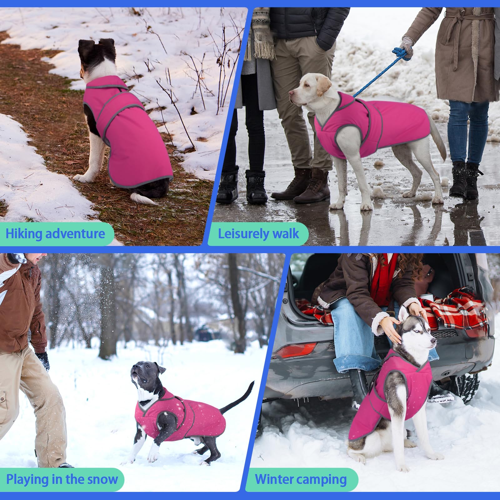 Migohi talla-ajuste-silueta-perro: ajuste cómodo para diversas razas y tamaños.