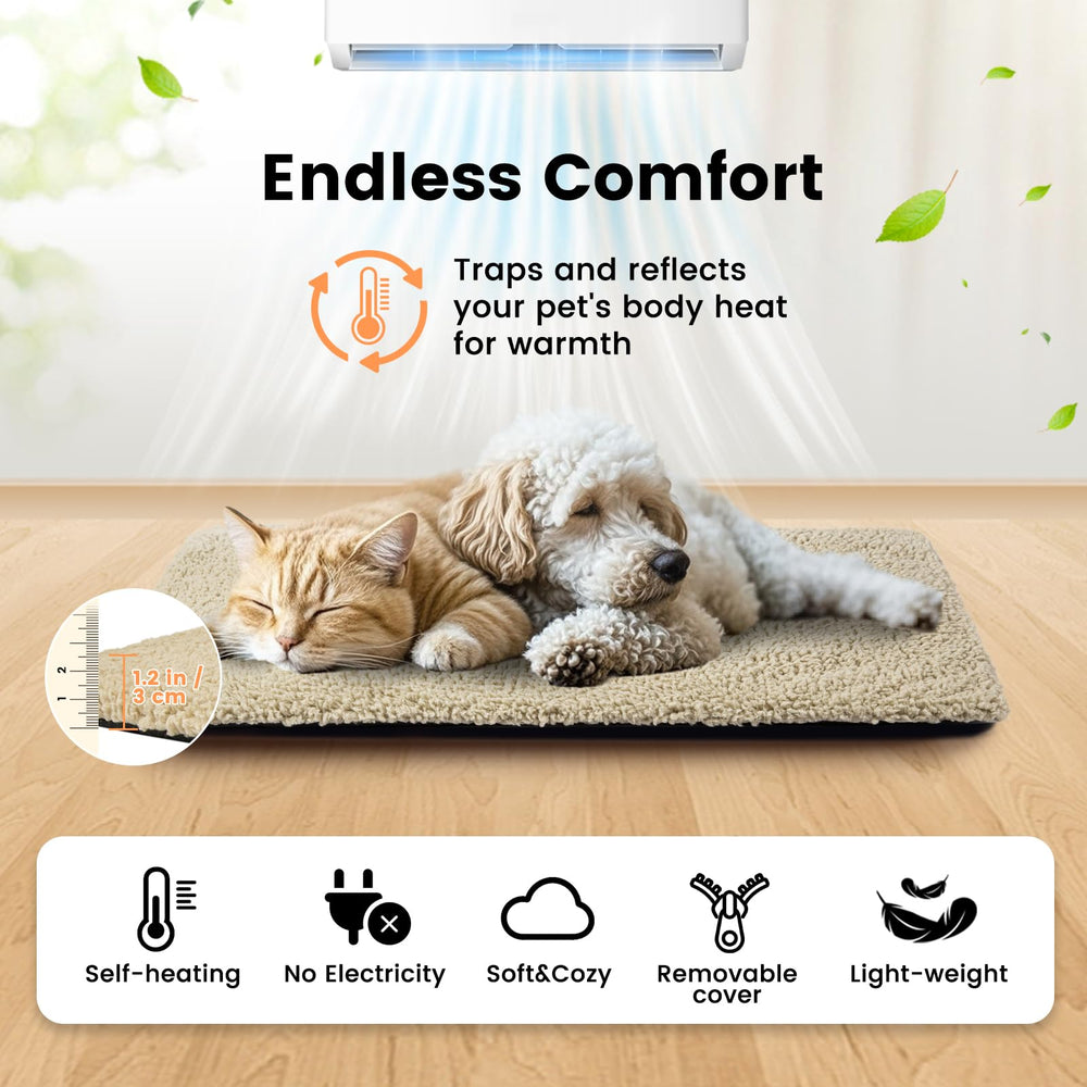 Cama Miguel para gatos auto calentante para exteriores, refugio cálido al aire libre