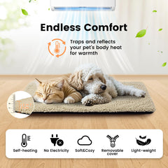 Cama Miguel para gatos auto calentante para exteriores, refugio cálido al aire libre