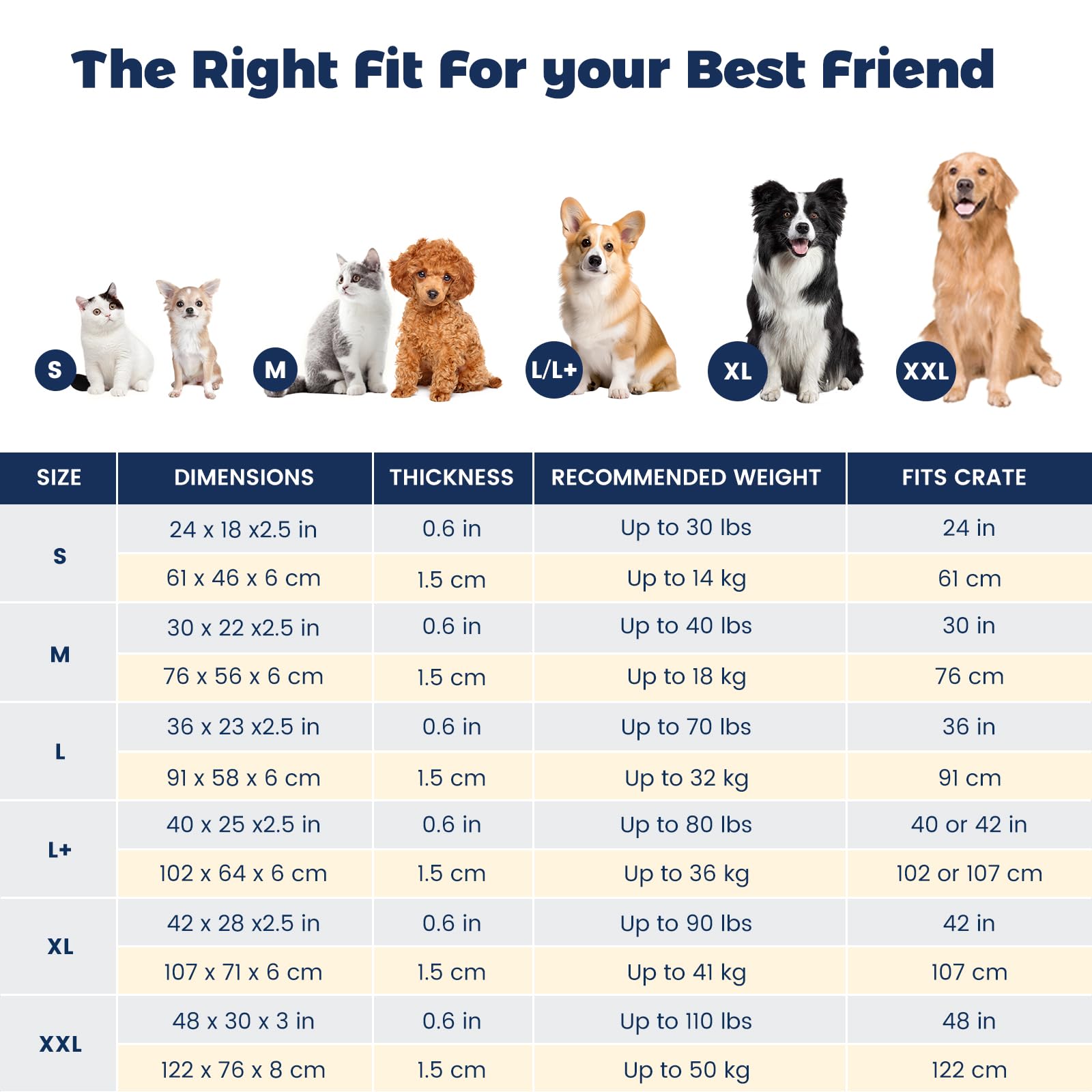 Tallas disponibles para perros y gatos de diferentes pesos