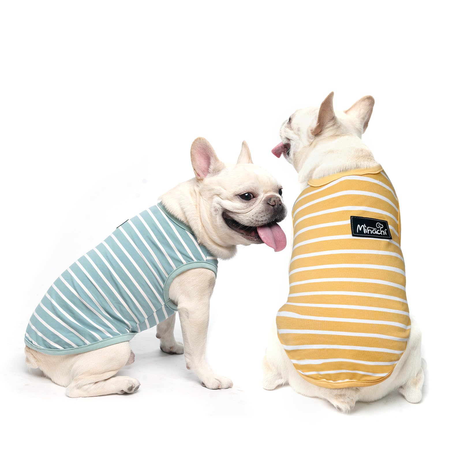 Camiseta MIHACHI para perro con rayas azul y amarillo, cómoda para salidas diarias.