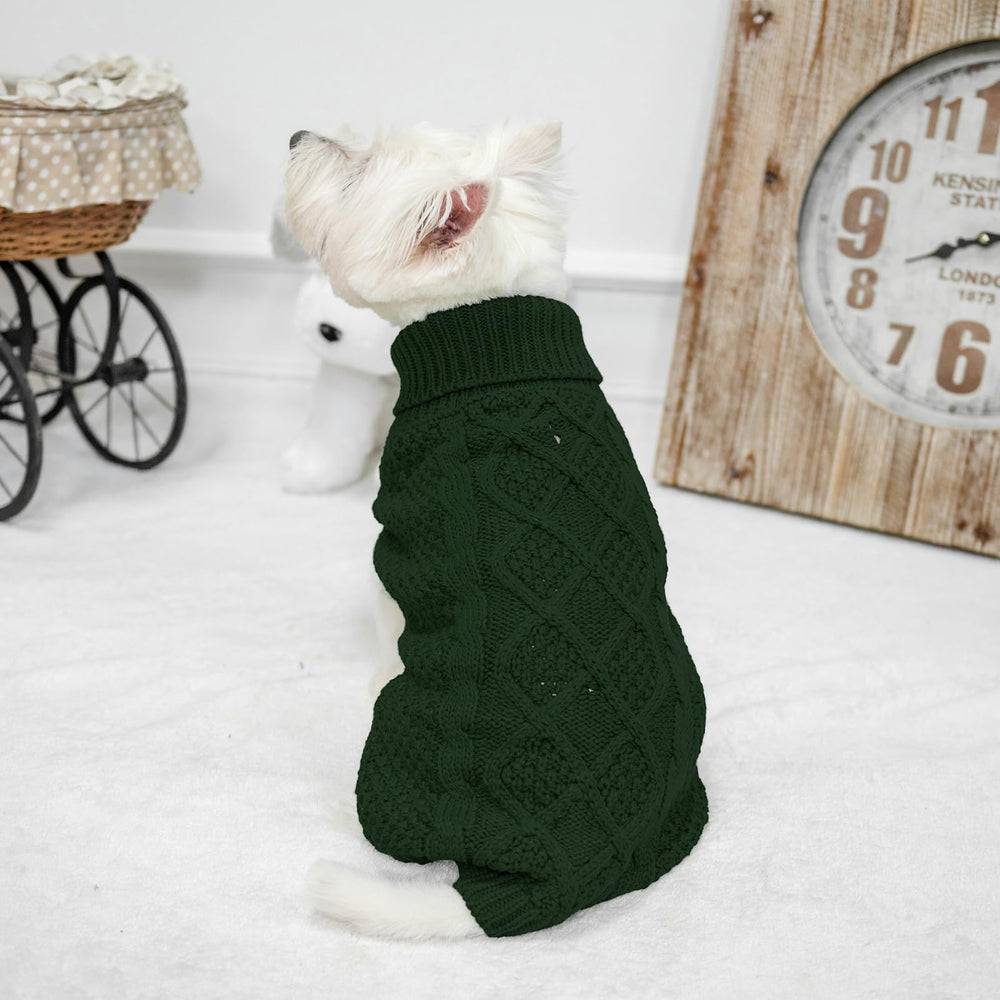 Mihachi perro caminando con suéter verde, paseo cómodo en invierno.