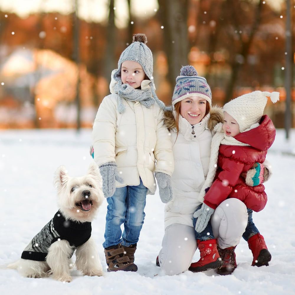 Prenda de abrigo Mihachi para perros, ideal para paseos en días fríos