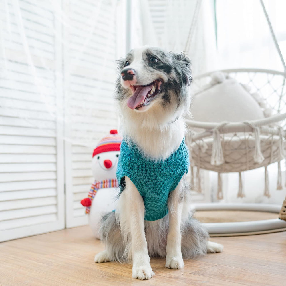 Mihachi sudadera para perro, regalo perfecto para mascotas.
