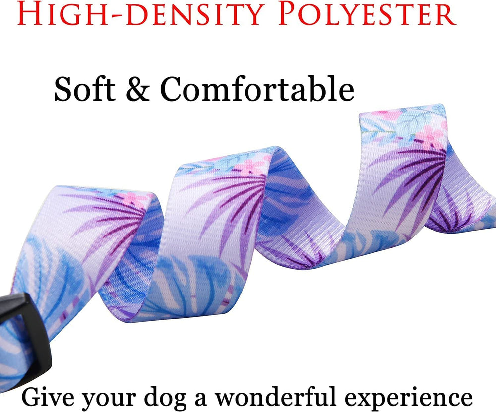 Cierre rápido de plástico resistente para collar Mihqy, fácil de usar.