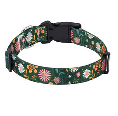 Collar Mihqy con anillos en D seguros para entrenamiento diario