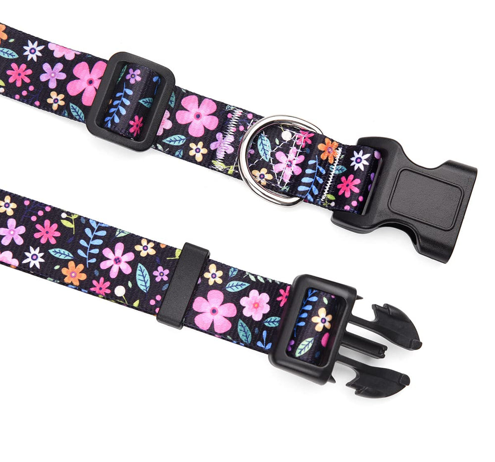 Correa Mihqy de 4 ft para caminatas diarias con control