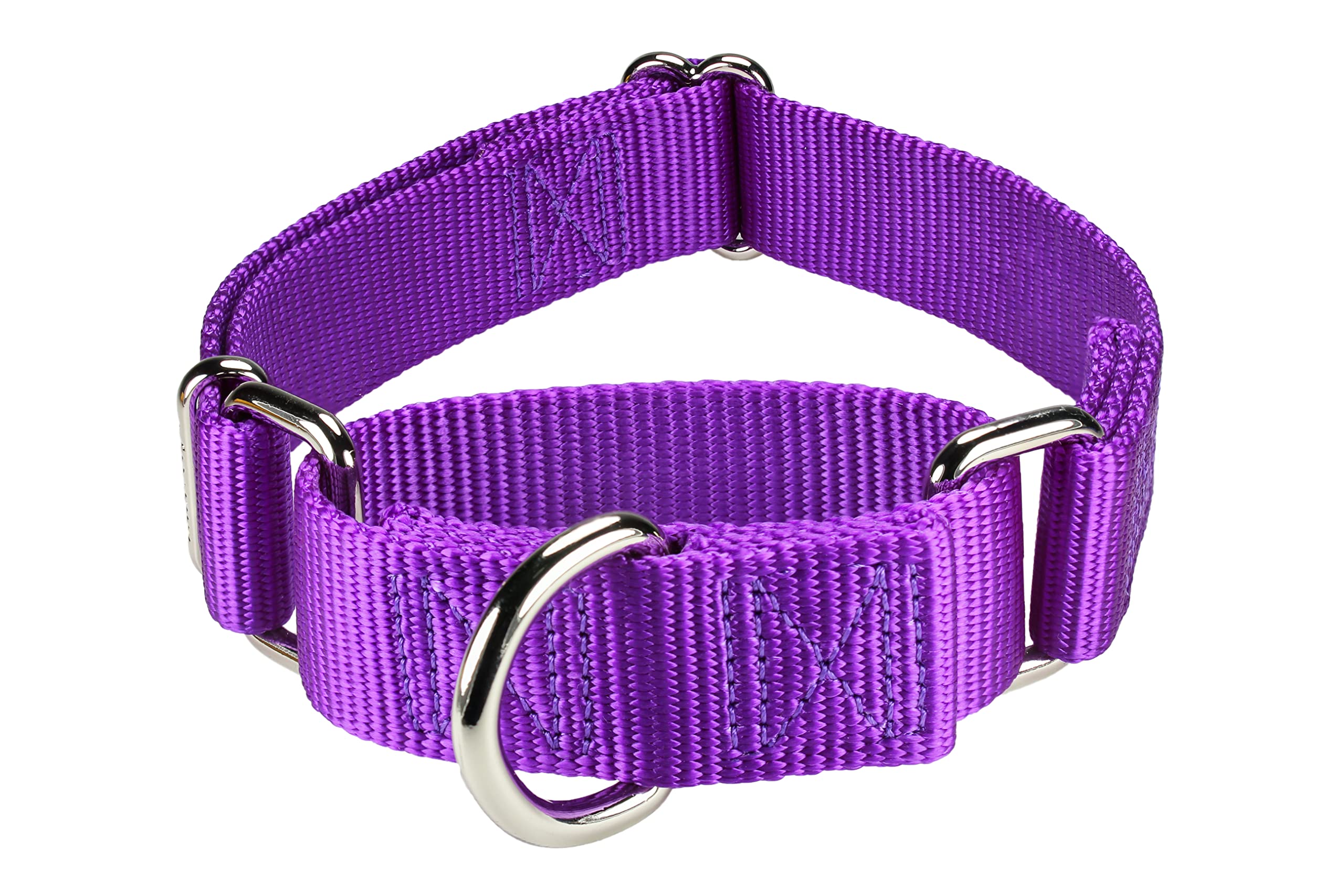 Mikivery collar martingala ideal para entrenamiento diario y paseos responsables.